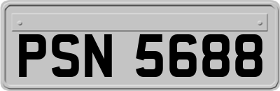 PSN5688