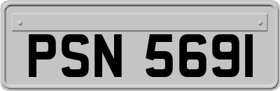 PSN5691