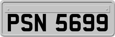 PSN5699