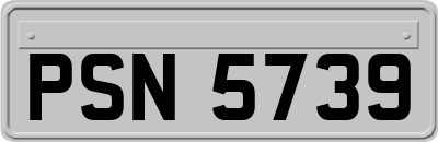 PSN5739