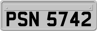 PSN5742