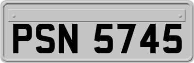 PSN5745