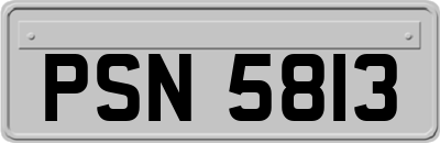 PSN5813