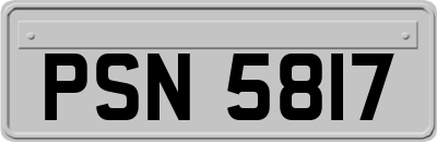 PSN5817