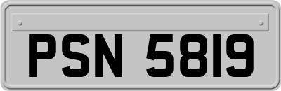 PSN5819