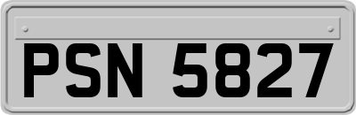 PSN5827