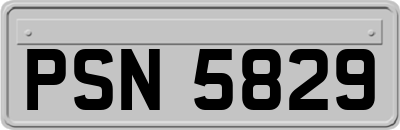 PSN5829