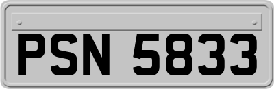 PSN5833