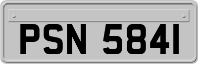 PSN5841