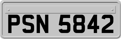 PSN5842