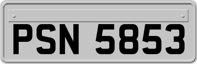 PSN5853
