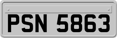 PSN5863