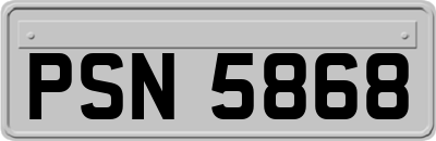 PSN5868