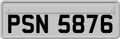 PSN5876