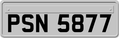 PSN5877