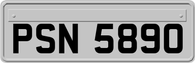 PSN5890