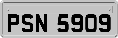 PSN5909