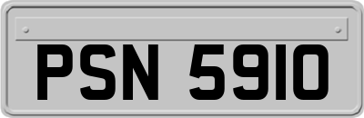 PSN5910