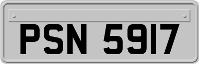 PSN5917