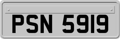 PSN5919