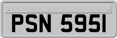 PSN5951
