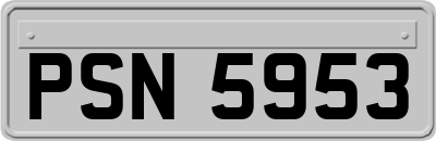 PSN5953