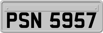 PSN5957