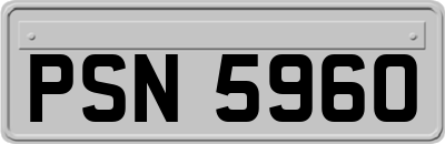 PSN5960
