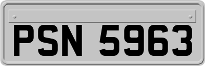 PSN5963