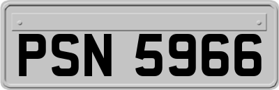 PSN5966