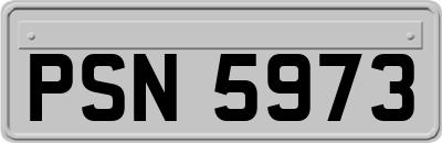 PSN5973