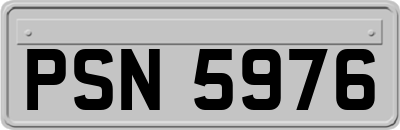 PSN5976