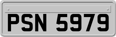 PSN5979