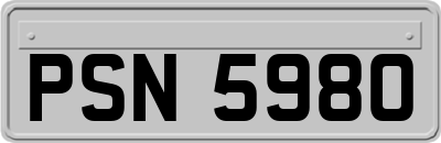 PSN5980
