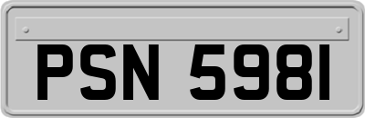 PSN5981