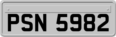 PSN5982