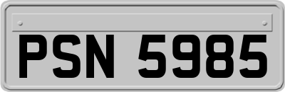 PSN5985