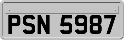 PSN5987