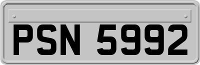 PSN5992