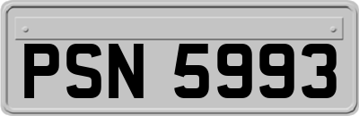PSN5993