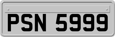 PSN5999