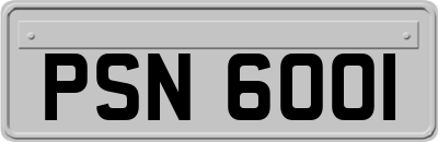 PSN6001
