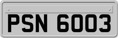 PSN6003