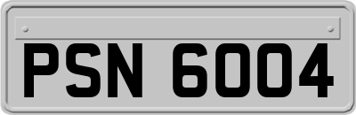 PSN6004