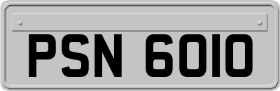 PSN6010