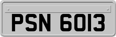 PSN6013