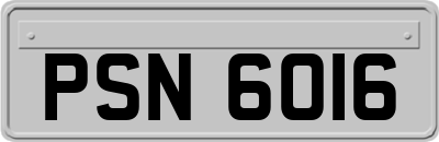 PSN6016