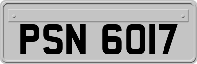 PSN6017