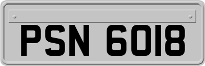 PSN6018