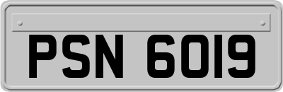 PSN6019